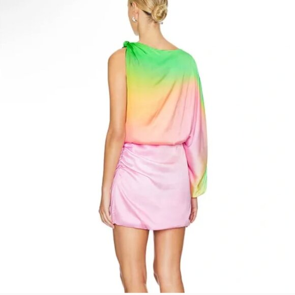 NWT Baobab Dolly Mini Dress (XS) - Picture 6 of 6